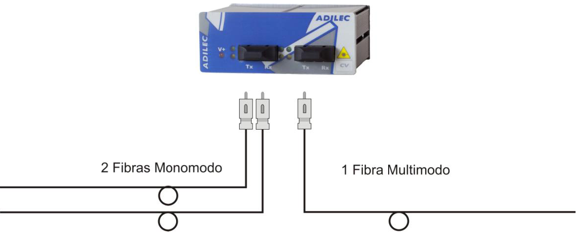 CV Esquema